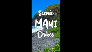 Take a Scenic Drive on Maui 🚗 #shorts