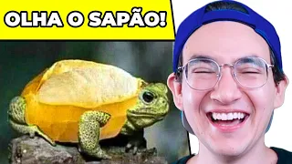 MEMES ALEATÓRIOS PRA QUEM TEM HUMOR RUIM KKKK I Falaidearo