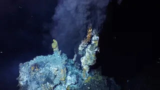 What are hydrothermal vents?