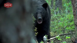 Vicki takes a Saskatchewan Slammer that walks within a foot of her blind.