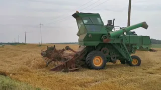 Тяжелейшая уборка полёглой пшеницы комбайном СК-5 Нива.