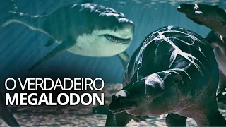 A vida do Megalodon