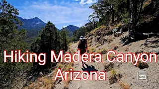 Hiking Madera Canyon in Arizona.