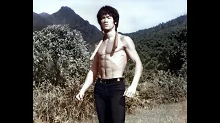 Bruce Lee  -  Best of the Best