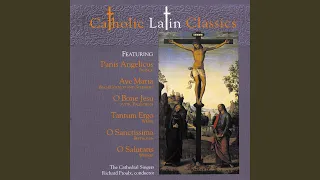 Ellens Gesang III (Ave Maria!) , Op. 52 No. 6, D. 839 "Hymne an die Jungfrau” (Version for Choir)