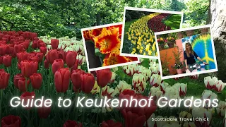 Keukenhof Gardens Travel Guide - Day Trip from Amsterdam