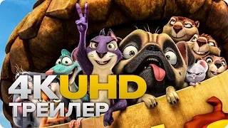 Реальная белка 2: Чокнутый от природы - Трейлер 1 (Русский) 2017