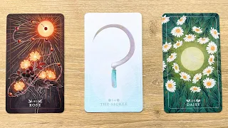 🍄 Life 1 YEAR From Now (Love, Career & More) | 🔮 Pick a Card timeless tarot