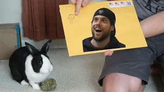 Rabbit opens LA Beast mail!