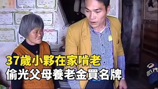 37歲小夥不工作，偷父母養老金買名牌，不給錢就拳打腳踢