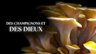 Des champignons et des dieux - Un film de Samuel Tessier