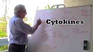 Cytokines - السيتوكينات لغة التواصل بين الخلايا