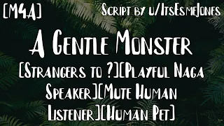 [M4A] A Gentle Monster [Strangers to ?][Playful Naga Speaker][Mute Human Listener][Human Pet]