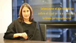 Viviana Pedraza - Metodología para elaborar una línea Jurisprudencial