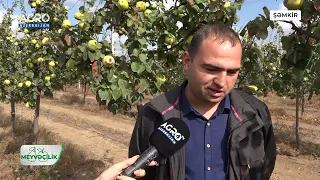 "Meyvəçilik" “Şəmkir Agro Park”ın fəaliyyəti ilə tanış olduq.