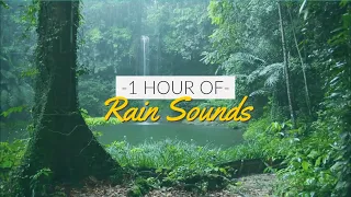 1 HOUR RELAXING RAIN SOUNDS | Nature Sounds For Sleep, Meditation, Study, Autogenic Training, PTSD