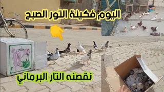 أليوم فكينه التور الساعة بل ،،،7،،،الصبح💪💪💪