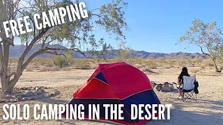 SOLO Female Dispersed Camping | Camp Tacos | Free Camping Near Joshua Tree