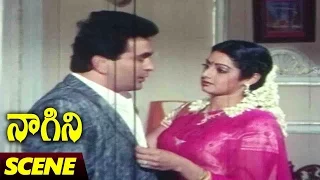 Rishi Kapoor & Sridevi Love Scene || Naagini Telugu Movie || Rishi Kapoor, Sri Devi