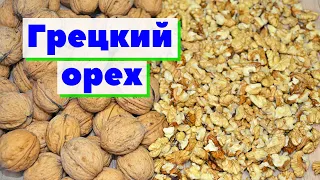 Грецкий орех | Как это сделано