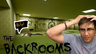 Me and Squirrel Enter the backrooms :O | Backrooms Society