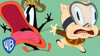 Looney Tunes in italiano 🇮🇹 |  Paracadute per disastri  WB Kids