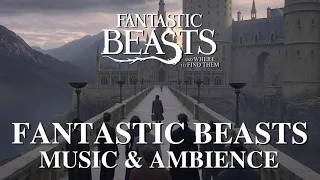 Fantastic Beasts Music & Ambience