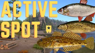 Trophy Siberian Sculpin and Lake Minnow Spot | Sterlet Caught What??? | June 29, 2022