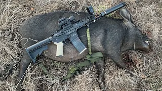 An Eventful Morning Wild Hog Hunt with the 300 Blackout