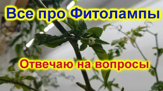 Зачем? Сколько? Как? Где ? Ответы на вопросы про фитолампы !