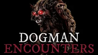 10 Scary Dogman Horror Stories
