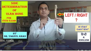 SIDE DETERMINATION OF ULNA BONE FOR PRACTICAL VIVA EXAM IN HINDI IN VERY EASY WAY | ULNA ANATOMY