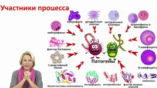 Тайные игры иммунитета | Аутоиммунные заболевания и аллергии | Ольга Бутакова | Аллергия