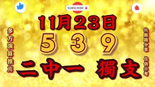 今彩539｜11月23日｜二中一，獨支｜版路分享｜預測推薦｜樂透資訊｜查理539