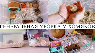 Меняем клетку хомякам/ генеральная уборка у Ханны и Лизи