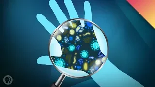 Your Microbiome: The Invisible Creatures That Keep You Alive!