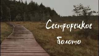 СЕСТРОРЕЦКОЕ БОЛОТО | что такое и как добраться