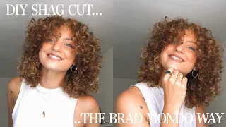 I Tried Brad Mondo's Guide to Cut a Shag on My Curly Hair