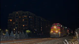 CN A49191-21 Rolls by Mundelein with BNSF 732 (BNSF Warbonnet) leading