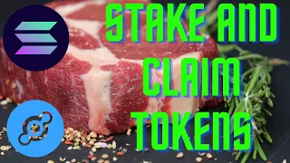 Claim and Stake IOT/HNT on your App