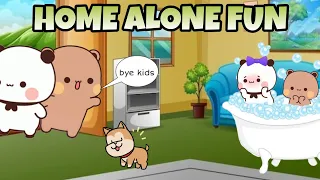 Home Alone FUN😂| BUBU DUDU peach Goma Panda Bear Cats || Kittensisland