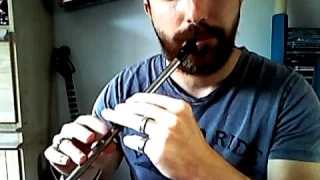 ELUVEITIE Sempiternal Embers Tin Whistle Cover, Everything Remains (As It Never Was)