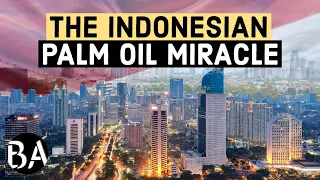 Indonesia's Export Economy: The Palm Oil Miracle