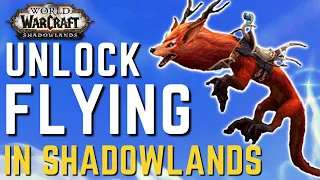 Unlock FLYING in Shadowlands 9.1 | New Flying MOUNTS and How to Get Them