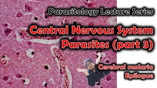 CNS Parasites (part 3) #parasites #malaria #brain