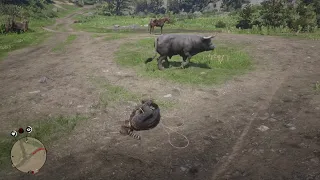 RDR2- Arthur ups the danger ante with Rope-A-Bull