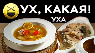 Уха и Русский самовар | Сталик Ханкишиев