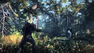 The Witcher 3  Wild Hunt   Debut Gameplay Trailer #E3