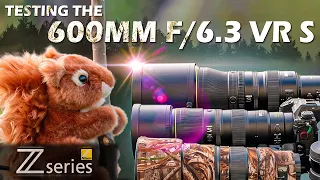 Nikon Z Telephoto Lens Showdown | NEW 600mm f/6.3 VR S vs. 400mm f/4.5 VR S vs. 400mm f/2.8 TC VR S