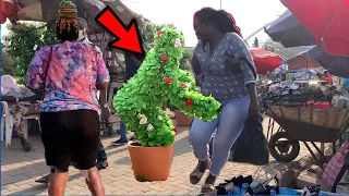 Hilarious SCREAMS and Laughter!! Bushman Scare Prank